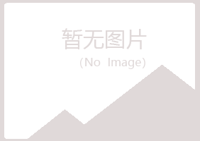 宁夏苍白律师有限公司